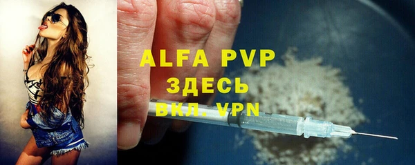 дживик Елабуга