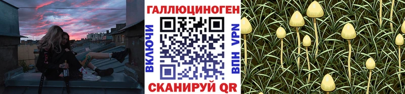 Галлюциногенные грибы Psilocybine cubensis  Купить закладки  Фрязино 